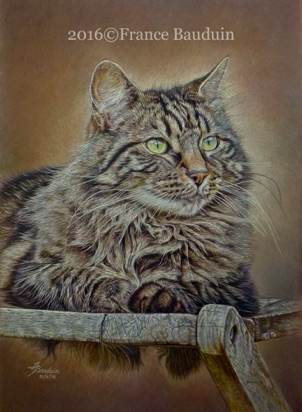 Griffin - 58 hours
Brown Pastelmat Board
18.5" x 13.5"
Our Griffin again born in 2012Griffin on a chair - 64copb.jpg Griffin - 58 hours
Brown Pastelmat Board
18.5" x 13.5"
Our Griffin again born in 2012Griffin on a chair - 64copb.jpg